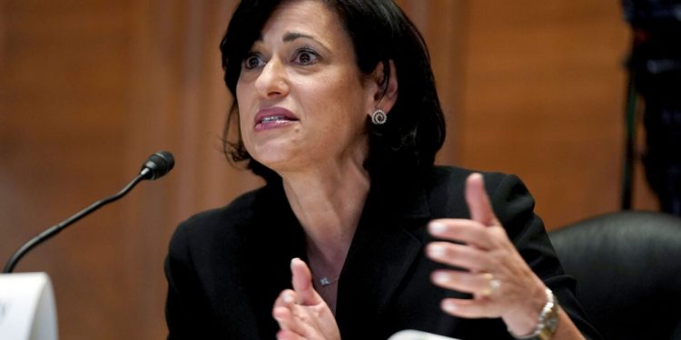 Harvard experts stress testing, vaccination amid delta surge