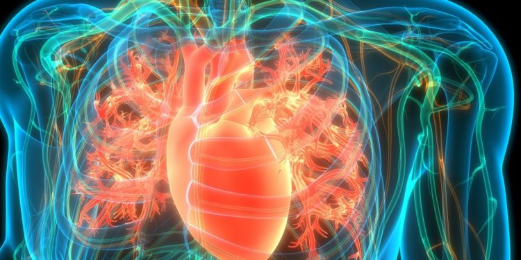 EPA omega-3 fatty acid reduces cardiovascular events