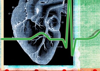 Diet, exercise, and sleep affect heart health, but why?