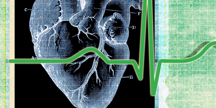 Diet, exercise, and sleep affect heart health, but why?