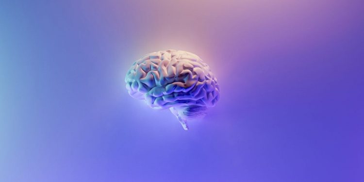 Signaling molecule may prevent Alzheimer’s