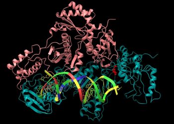 HIV drug stabilizes progression in metastatic colorectal cancer