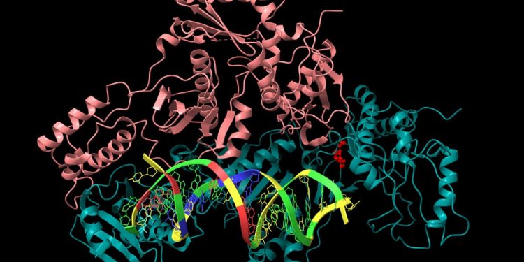 HIV drug stabilizes progression in metastatic colorectal cancer