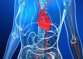 New genetic insights on common cause of heart attack in younger women