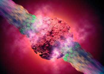 Harvard Chan School professor discusses delta variant