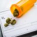 Medical marijuana may trigger substance abuse