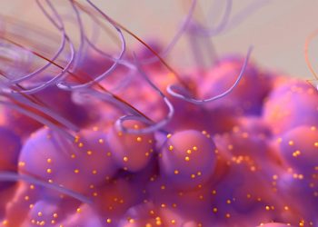 Closer look at cancer cells’ ability to rewire, thrive, survive