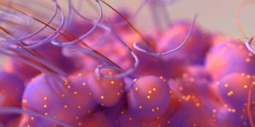 Closer look at cancer cells’ ability to rewire, thrive, survive