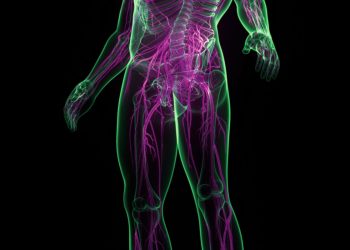 Does nerve damage contribute to long COVID symptoms?