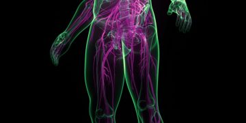 Does nerve damage contribute to long COVID symptoms?