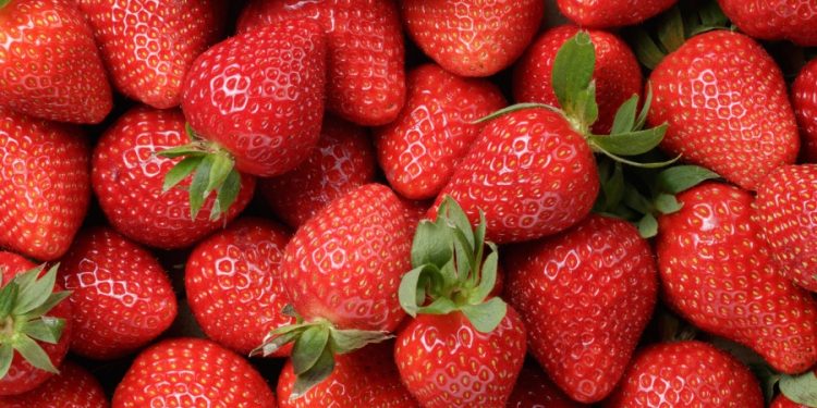 US, Canada investigating strawberries linked to hepatitis A outbreak