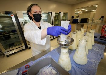 FDA rolls out new import guidelines, manufacturer flexibilities to boost infant formula supply