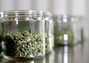 DOJ urges Supreme Court to deny workers’ bid for medical pot reimbursement