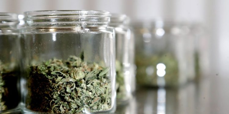 DOJ urges Supreme Court to deny workers’ bid for medical pot reimbursement