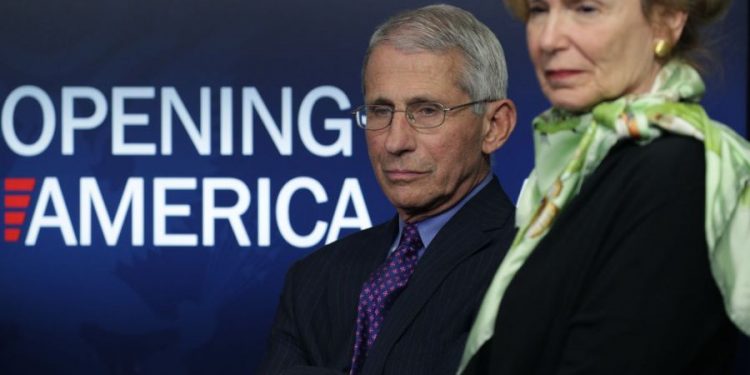 Fauci and Birx at odds over angry encounter with Pence
