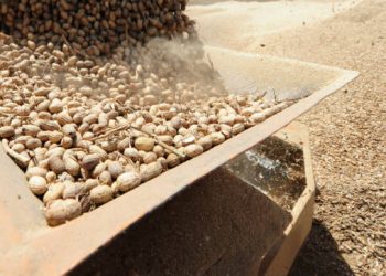 FDA, CDC investigate salmonella outbreak connected to Jif peanut butter products