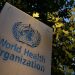 WHO expecting more monkeypox cases to emerge
