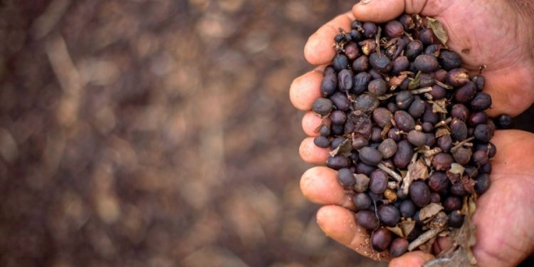 Study: Coffee may be linked with lower risk of death