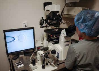 Combination of common chemicals may be curbing sperm count: study