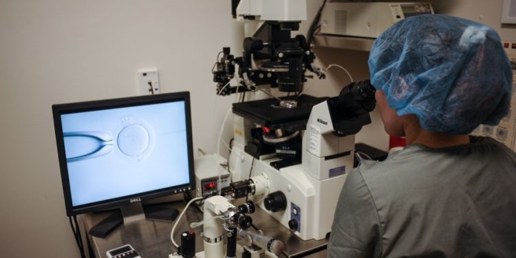 Combination of common chemicals may be curbing sperm count: study