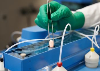 Pfizer asks for full FDA approval of COVID pill