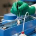 Pfizer asks for full FDA approval of COVID pill