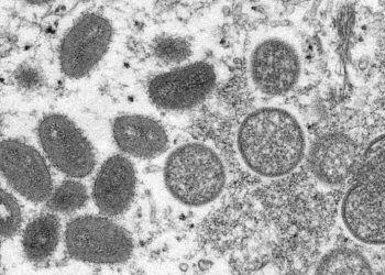 Feds buy 500,000 more vaccine doses to fight monkeypox