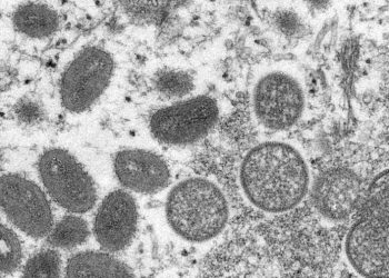 WHO: No guarantee monkeypox won’t spread beyond specific communities