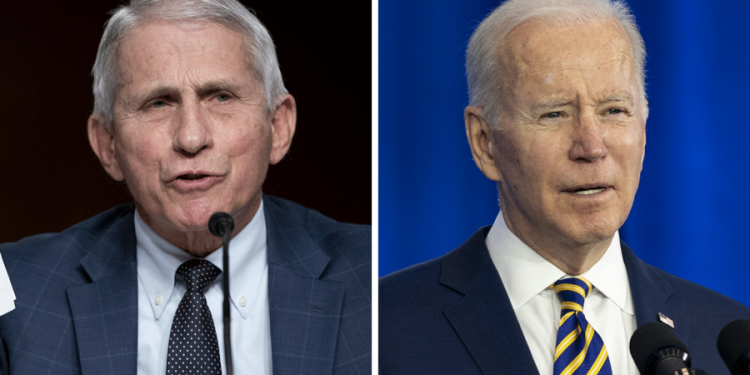 GOP plots Fauci probe after midterms