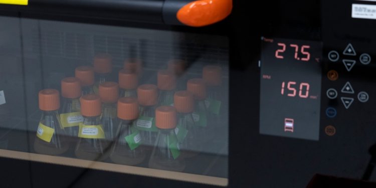 FDA authorizes Novavax’s COVID-19 vaccine