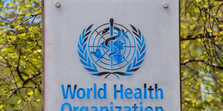 WHO expert: First suspected human-to-dog monkeypox transmission ‘not surprising’