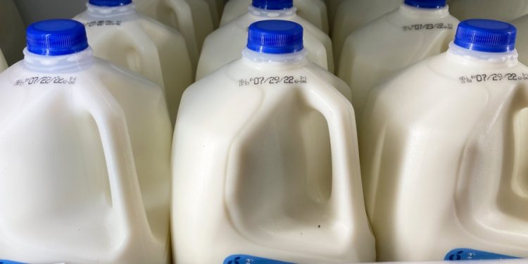 Civil rights groups, including Al Sharpton-led organization, urge USDA to fix ‘dietary racism’ in school lunch programs