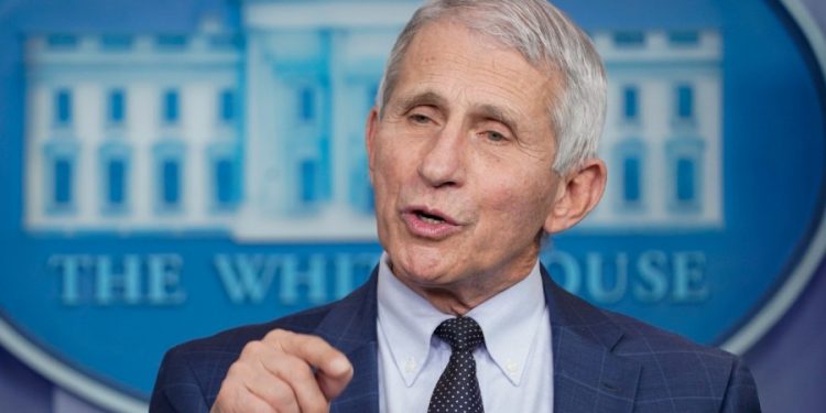 Fauci compares monkeypox outbreak to HIV epidemic, advises against making the same assumptions