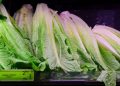 CDC: E. coli outbreak may be linked to Wendy’s lettuce
