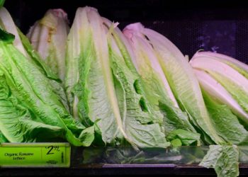 CDC: E. coli outbreak may be linked to Wendy’s lettuce