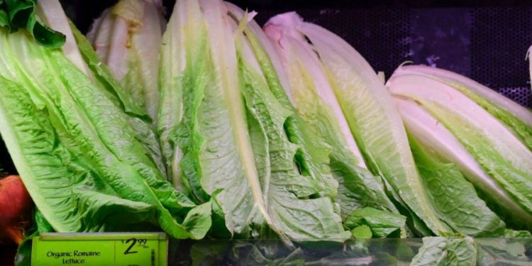 CDC: E. coli outbreak may be linked to Wendy’s lettuce