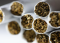 Study shows almost half of fatal cancer cases linked to avoidable risk factors