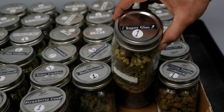 Marijuana and hallucinogenic use reached all-time high among young adults in 2021