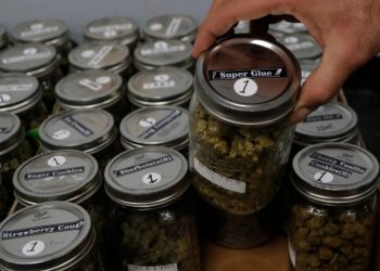 North Dakotans to vote on marijuana legalization in November