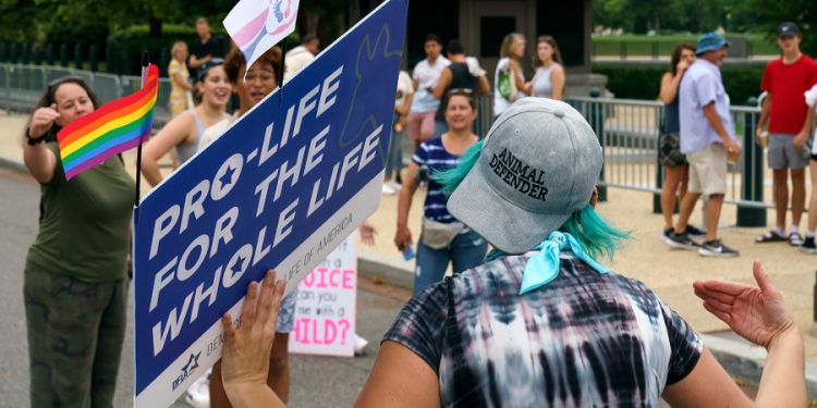Seven in 10 Americans back deciding state abortion rights by ballot measure: poll