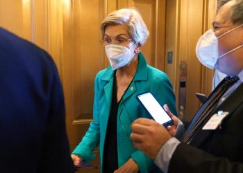 Warren launches investigation into state abortion bans