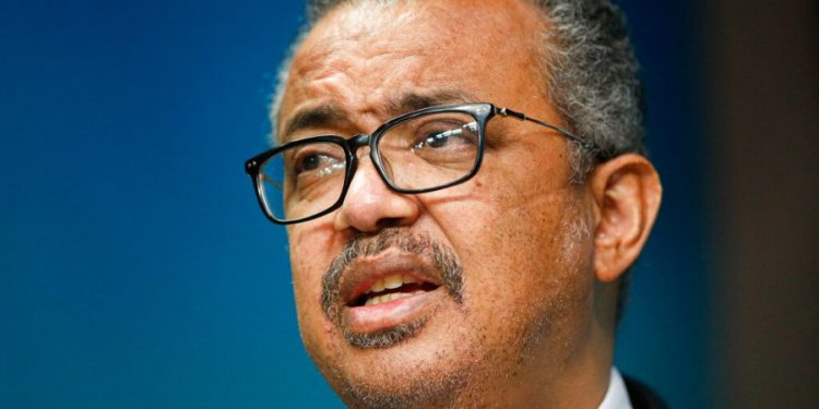 WHO: Declining monkeypox cases prove outbreak can be stopped or even eliminated