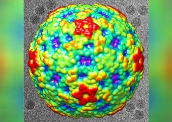 CDC warns of increase in respiratory illness among children that could lead to polio-like muscle weakness