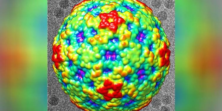 CDC warns of increase in respiratory illness among children that could lead to polio-like muscle weakness