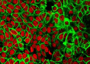 New study suggests benefits of colonoscopies may be overestimated