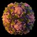 Poliovirus found in NY wastewater genetically linked to case that paralyzed New York man
