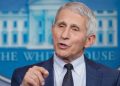 Fauci says he should have been ‘more careful’ on pandemic messaging: ‘No one’s perfect’