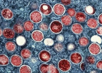 WHO renames monkeypox as ‘mpox’