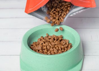 Toxic ‘forever chemicals’ found in children’s textiles, pet food packaging