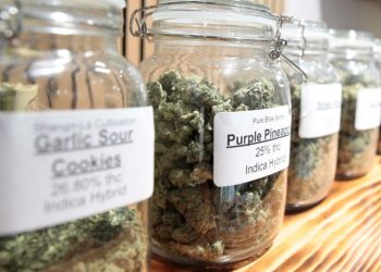 Voters offer divided opinion on legal weed in midterms